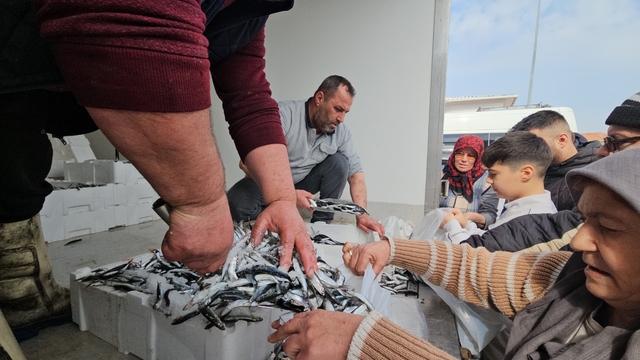 1 ton hamsi 15 dakika da tükendi
Enez'de ücretsiz hamsi dağıtıldı