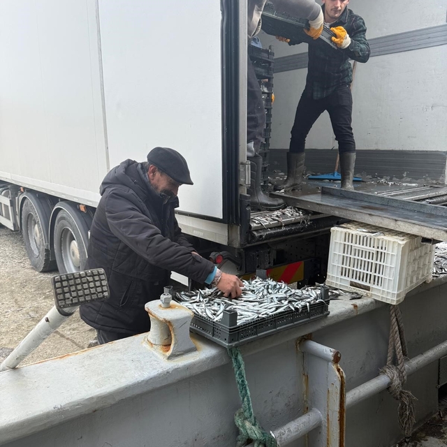 Balıkçı Ramazan'da ücretsiz hamsi dağıttı