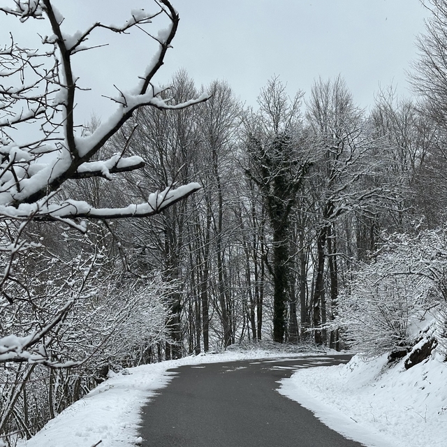 Gölyaka'nın yüksek kesimleri beyaz örtüyle kaplandı