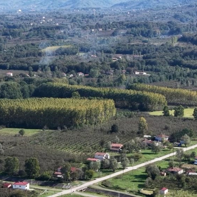 Çarşamba Ovası meyvede zirvede