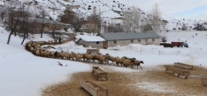 Erzincan’da çiftçilere kar ve tipi uyarısı