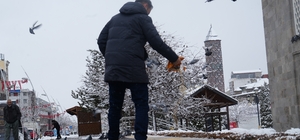 Doğu'da kar yağışı devam ediyor