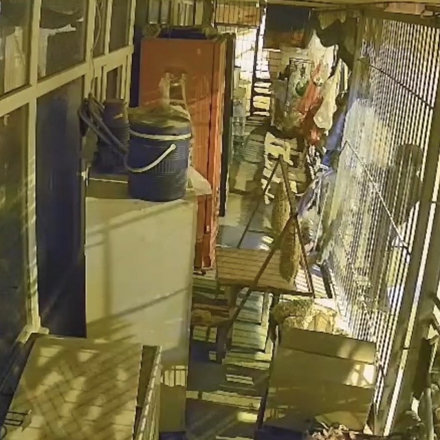 Çalıntı araçla geldiler, marketi soydular: 1 şüpheli tutuklandı