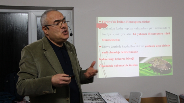 Uzmanı kahverengi kokarca için tarih verdi: "2030 yılından itibaren gündemden çıkmaya başlayacak"