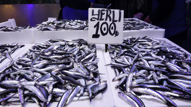 Ramazanda balık tezgahlarında hamsi ve istavrit bereketi
