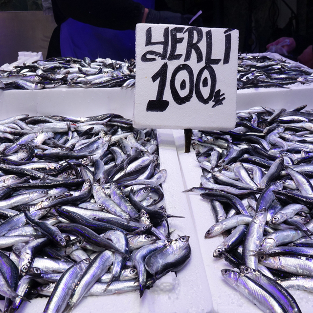 Ramazanda balık tezgahlarında hamsi ve istavrit bereketi