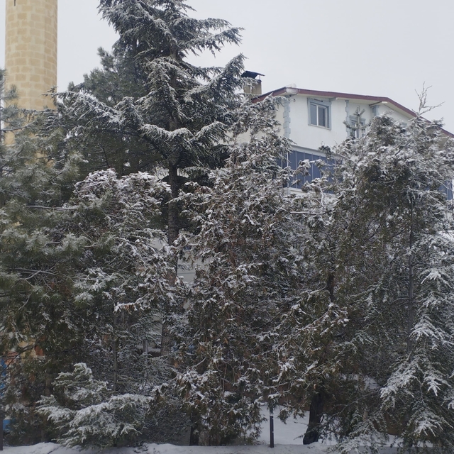 Adana'da kar sürprizi
