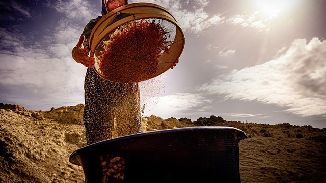 Salihli'de "Hayatın İçinden Kadın Fotoğrafları" sanal sergisi açıldı