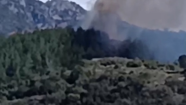 Osmaniye'de orman yangını