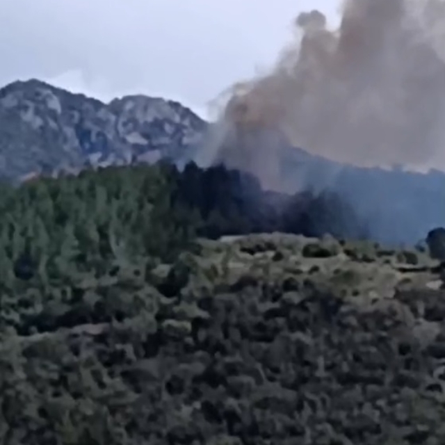 Osmaniye'de orman yangını