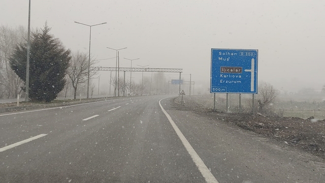 Bingöl'de kar yağışı başladı