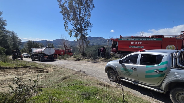 Osmaniye'de orman yangını (2)