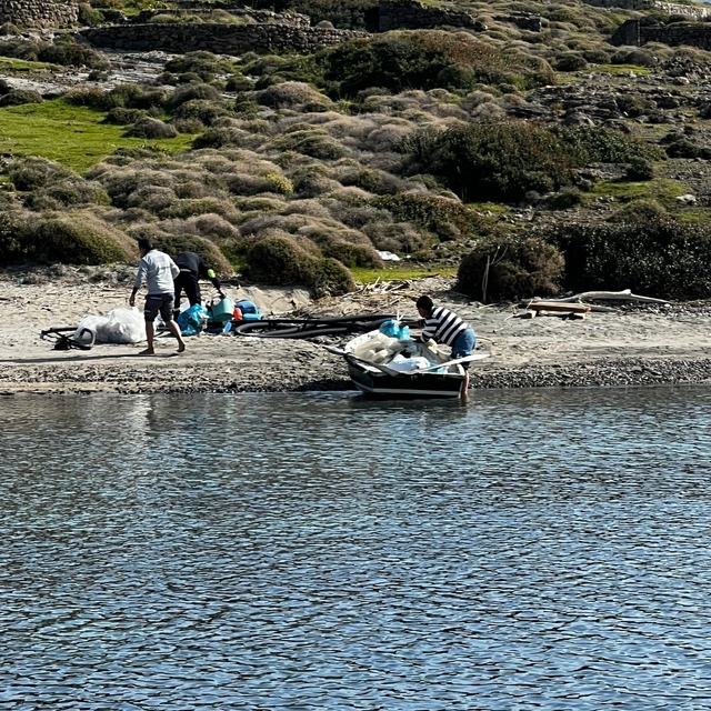 Tilkişen otu toplamaya gittiler, koyu temizlediler
