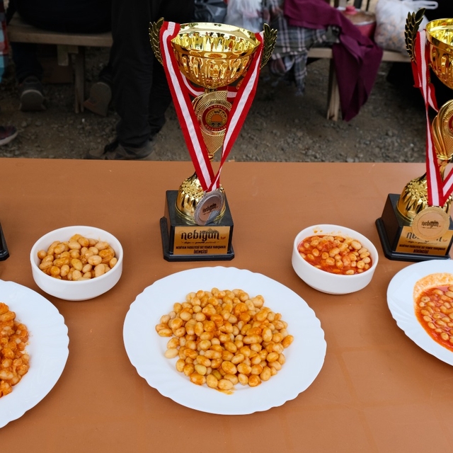 19 Mayıs ilçesinin tarım ürünleri için coğrafi işaret hazırlığı