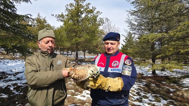 Yaralı Şahin'e Jandarma ekiplerinden yardım eli