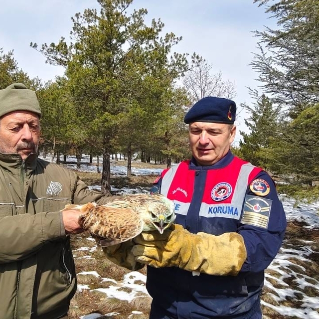 Yaralı Şahin'e Jandarma ekiplerinden yardım eli