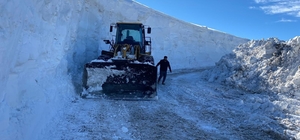 Muş’ta kapanan tüm köy yolları ulaşıma açıldı