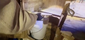 Kümesin içine saklanan uyuşturucuyu jandarma buldu