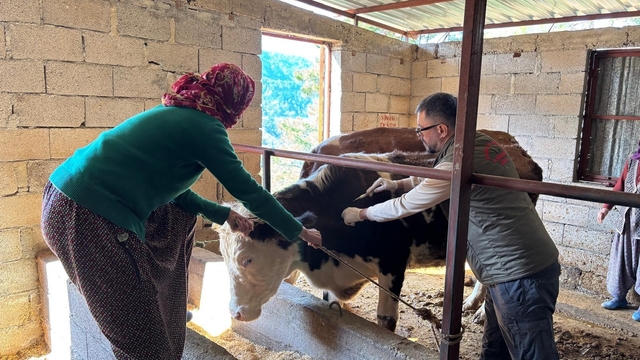 Gazipaşa'da hayvan sağlığı için sahada yoğun mesai