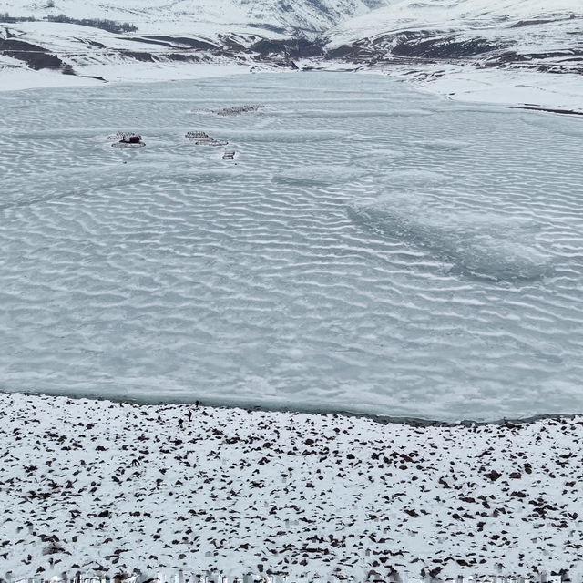 Erzurum'da Demirdöven Barajı buz tuttu