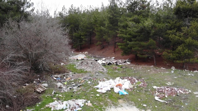 Amasya'da orman çöplüğe dönüştü: "Bu toprakları piyangodan kazanmadık"