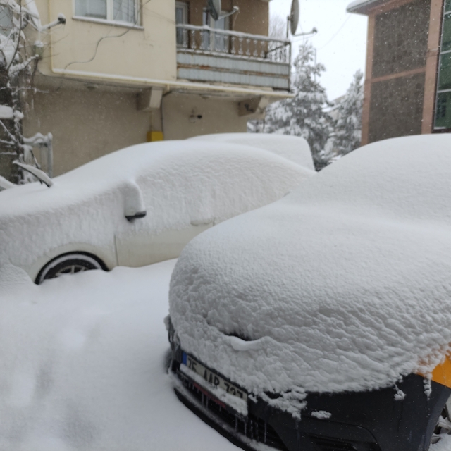Ardahan'da kar yağışı yeniden başladı