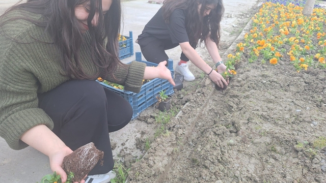 Yurt bahçesi gönüllü öğrencilerle bahara hazırlandı