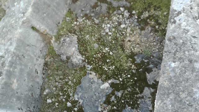 Kaya mezara defineciler tarafından zarar verildi