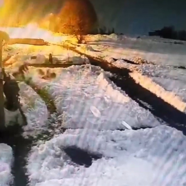 Kars'ta kurt sürüsünü kürekle kovalayan vatandaş kamerada