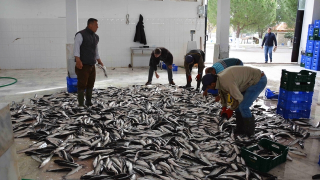 Muğla Şubat ayında 102 milyon dolar ihracat gerçekleştirdi