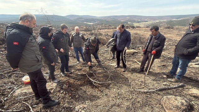 Yangında 10 şehidin verildiği ormanda yeniden ağaçlandırma çalışması başlatıldı