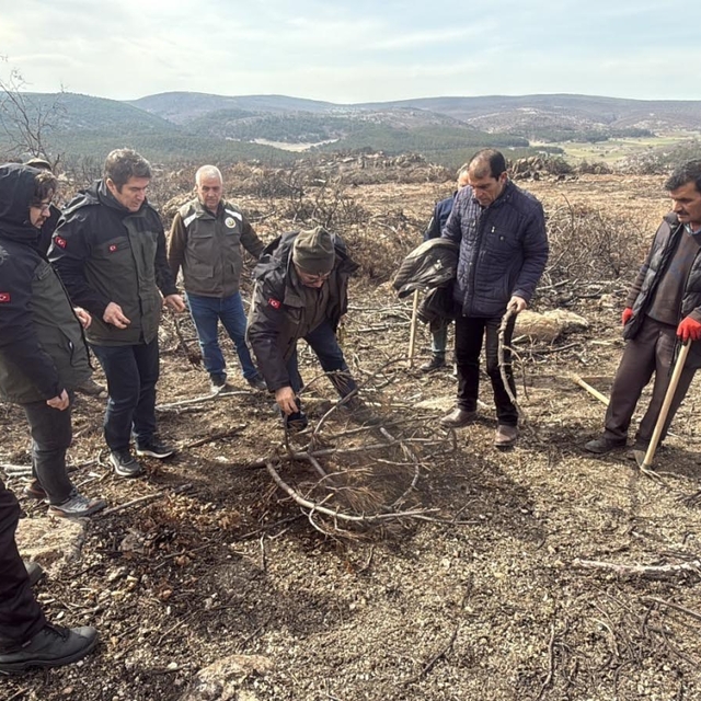 Yangında 10 şehidin verildiği ormanda yeniden ağaçlandırma çalışması başlat...