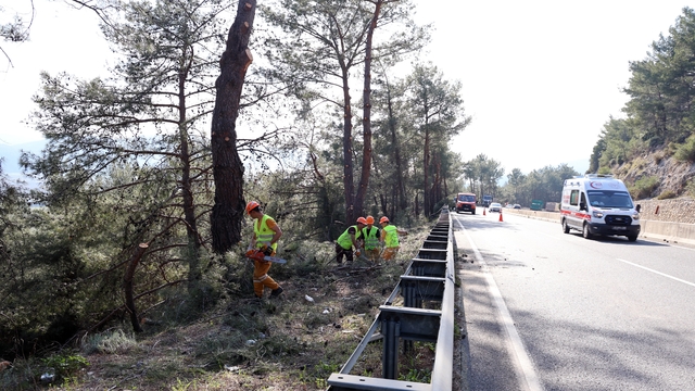 Muğla'da yangın sezonu öncesi Sakar Geçidi'nde riskli dallar temizleniyor