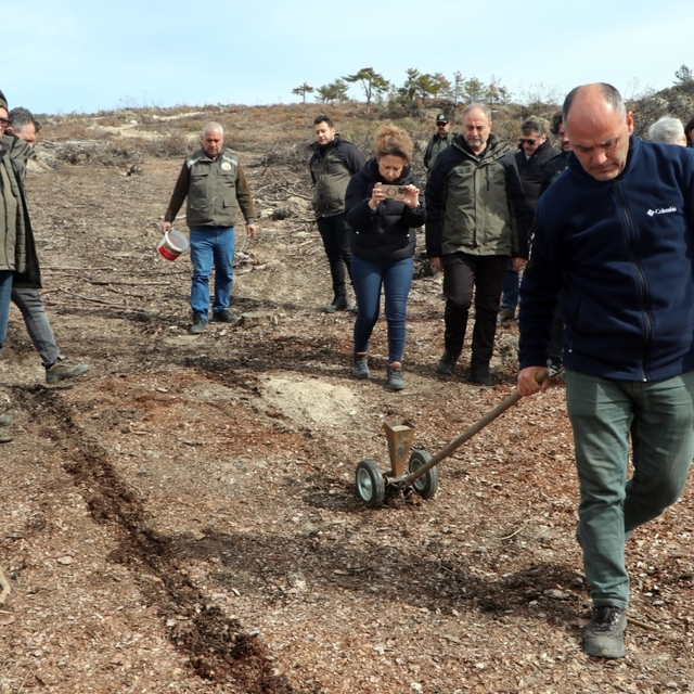 Eskişehir'de yangın sonrası ağaçlandırma çalışmaları başladı
Seyitgazi yang...
