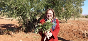 Gaziantep Büyükşehir'den Nizip'e örnek tarımsal destekler