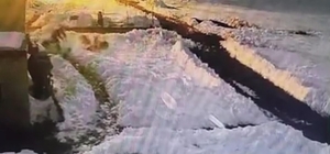 Köpeklerine saldıran kurtları kürekle kovaladı