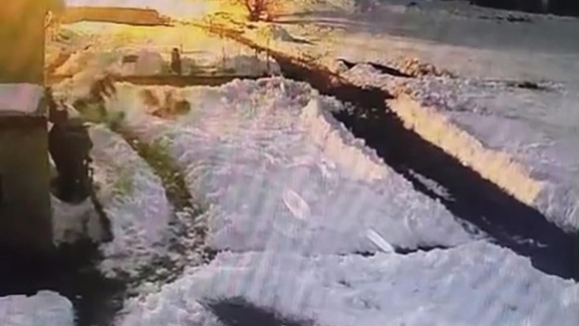 Köpeklerine saldıran kurtları kürekle kovaladı