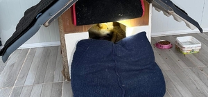 Balıkesir’de sıkıştığı yerde mahsur kalan yavru köpek kurtarıldı