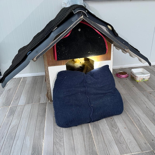 Balıkesir'de sıkıştığı yerde mahsur kalan yavru köpek kurtarıldı