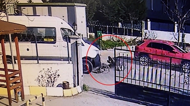 Okul servisine çarpmamak için motosikletten düşüp metrelerce savruldular: O anlar kamerada
