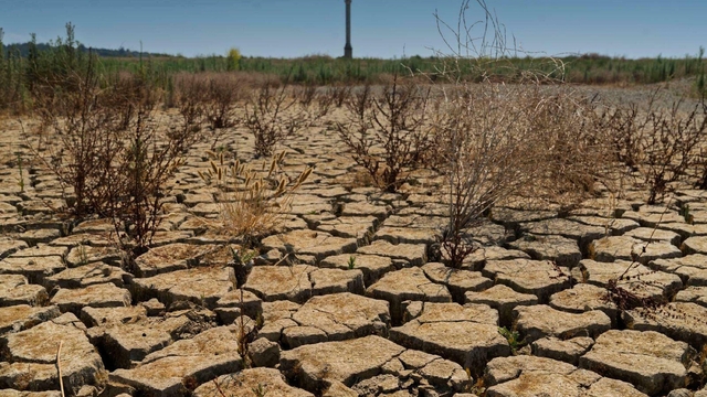 'Türkiye'de kronik kuraklık sürüyor'