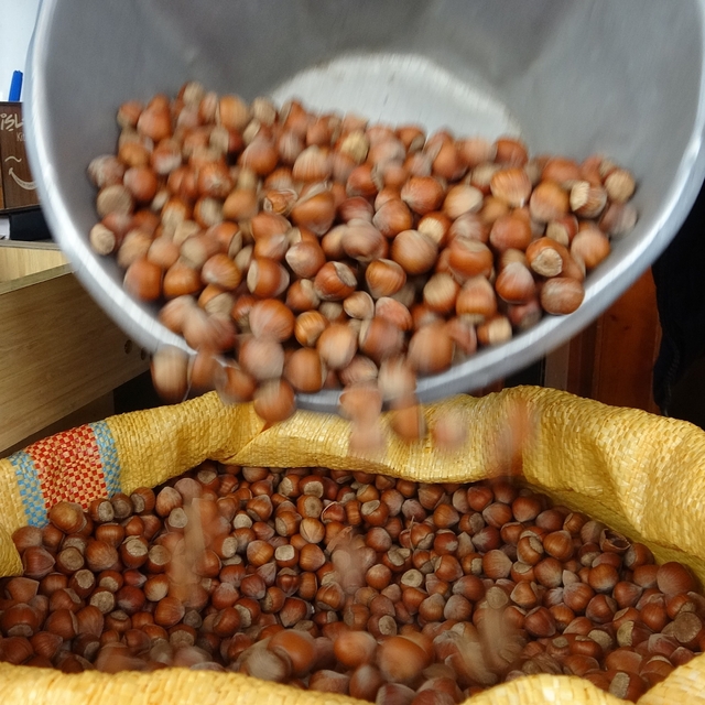 Düzce'den iki ayda bin 837 ton fındık ihraç edildi