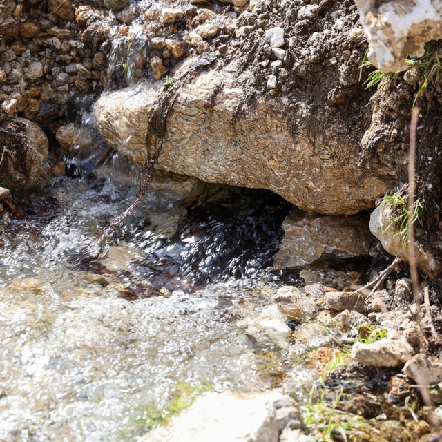 Çameli'nde yağışlar sonrası yer altı suları yüzeye çıktı