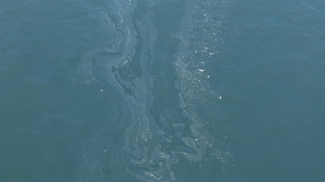 İzmir Körfezi'nde yine kirlilik tespit edildi