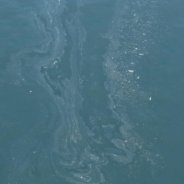 İzmir Körfezi'nde yine kirlilik tespit edildi