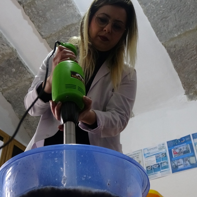 Yumurta kolilerinden el yapımı kağıt üretiyorlar