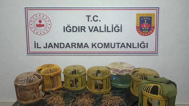 Kaçak keklik avcılarına 175 bin lira ceza