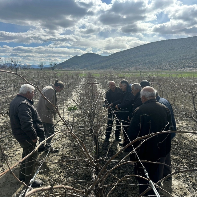 Korkuteli'nde çiftçilere budama eğitimi