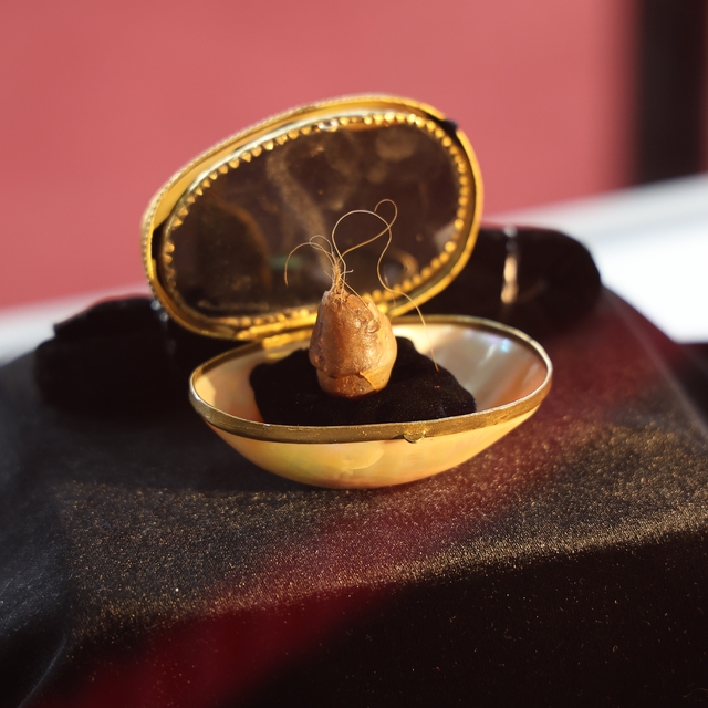 Kutsal emanetler Sivas'ta sergilendi, görmek isteyen vatandaşlar uzun kuyru...