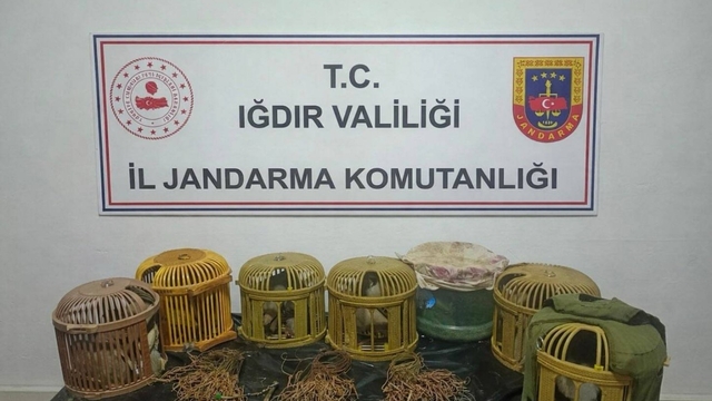 Iğdır'da kaçak keklik avcılarına 175 bin TL ceza